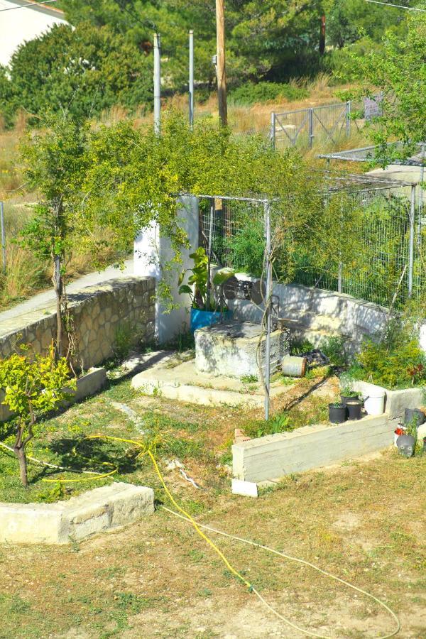 Georgia'S House Βίλα Αίγινα Εξωτερικό φωτογραφία
