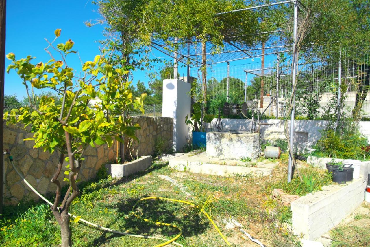 Georgia'S House Βίλα Αίγινα Εξωτερικό φωτογραφία